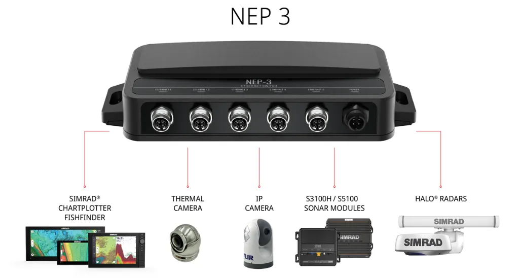 nep-3-web-graphic-sized (1).webp