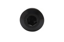PLUG - 24MM (8M0087453)
