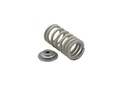 SPRING KIT-VALVE (8M0103092)