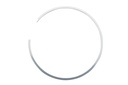 RING RETAINING (8M0142386)