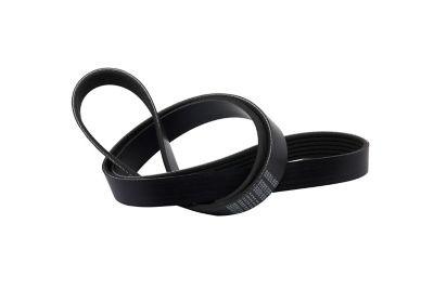 [57 8M0220621] MERCURY SERPENTINE BELT - 1409 MM (8M0220621)
