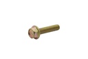 Screw (828213)