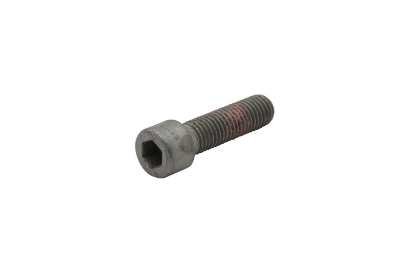 [10 865900] SCREW (865900)