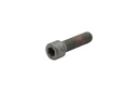 SCREW (865900)