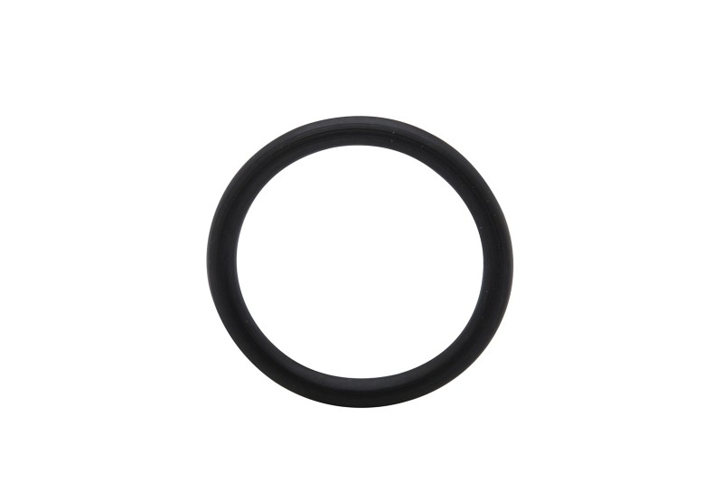 [25 884409] O Ring (884409)