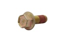 SCREW (865982005)
