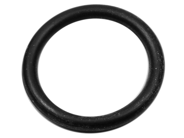 O Ring (45253)
