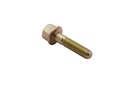 SCREW (82127335)