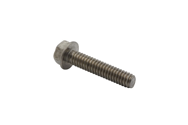 [10 F2030] SCREW-SS (F2030)