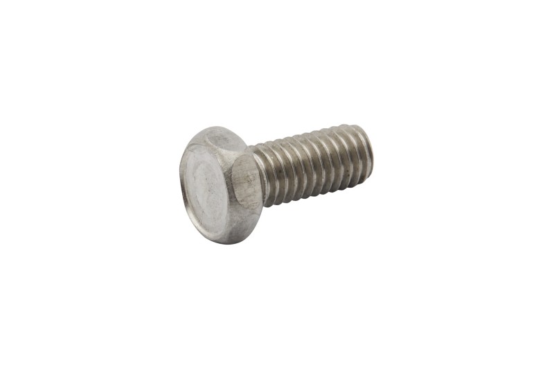 [10 41506] Bolt (41506)