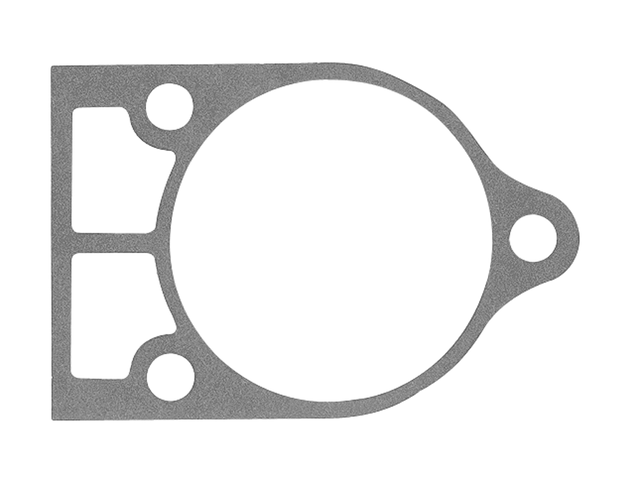 [27 32771] DNS Gasket (32771)