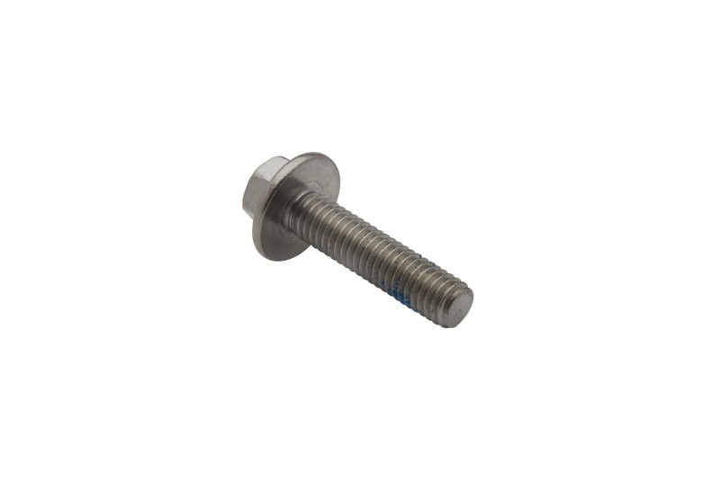 [10 821300 25] SCREW (82130025)