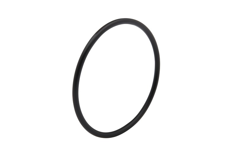 [25 815460] Bearing Carrier O-Ring (815460)