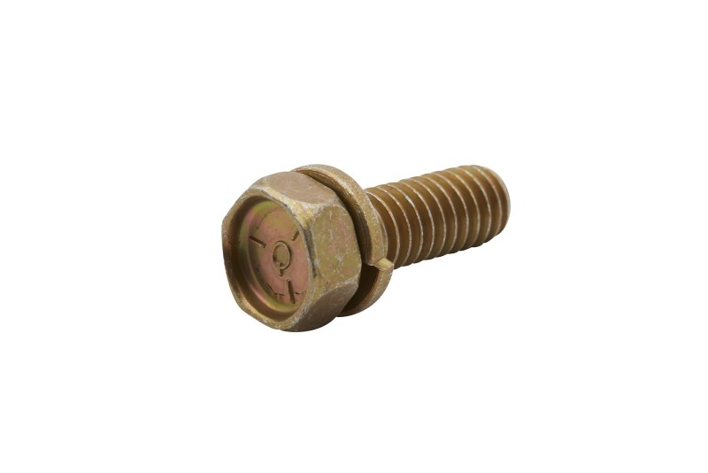 [10 29198] SCREW W/LW @5 (29198)