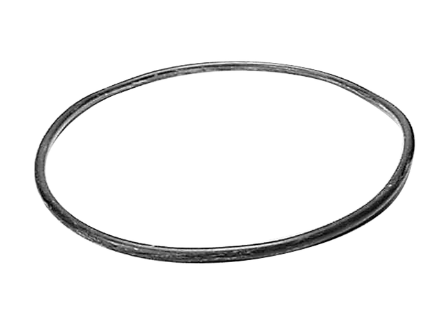 O Ring (89224)
