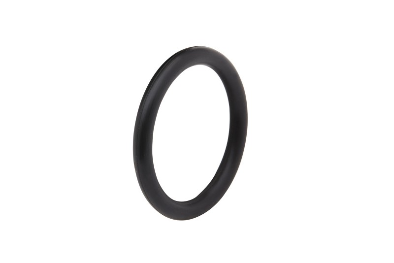 [25 16109003] O-Ring (16109003)