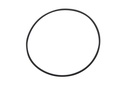 O-Ring (832804)