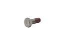 SCREW (82497020)
