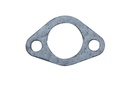 Gasket Anode (895150001)
