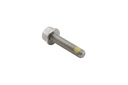 SCREW (81893435)