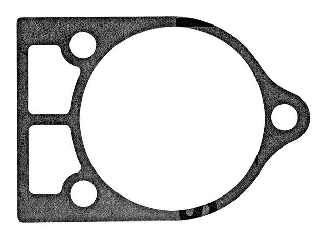 Gasket (19552)
