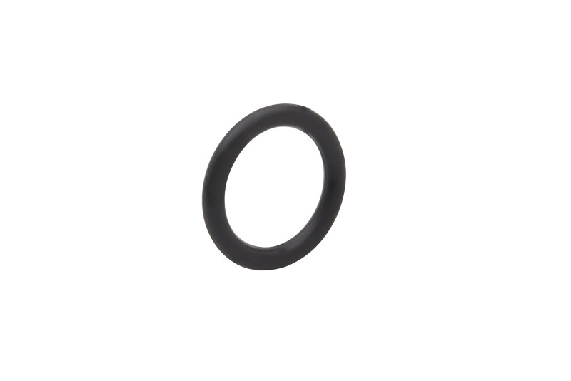 [25 892267513] O RING (892267513)