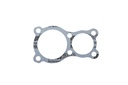 Gasket (820490)
