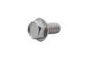 SCREW (41508)