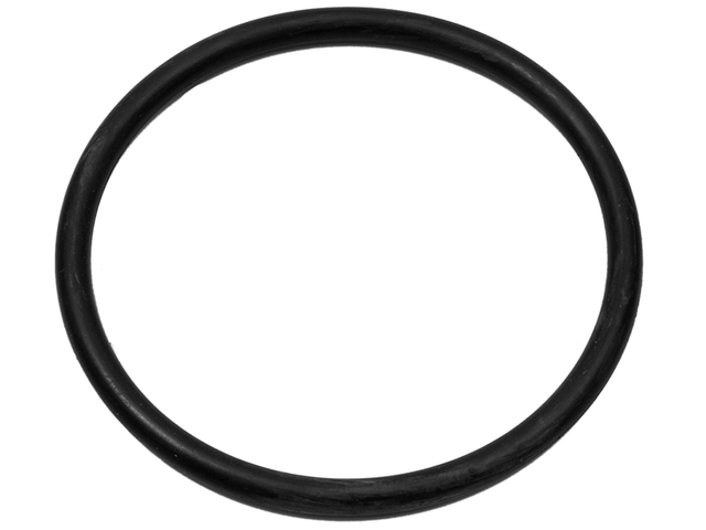 Oring (8M0214923)