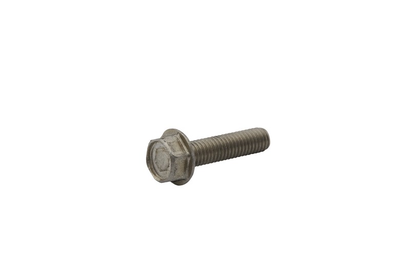 [10 40011129] SCREW (40011129)