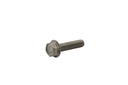SCREW (40011129)
