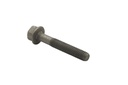 Bolt (8M0045380)