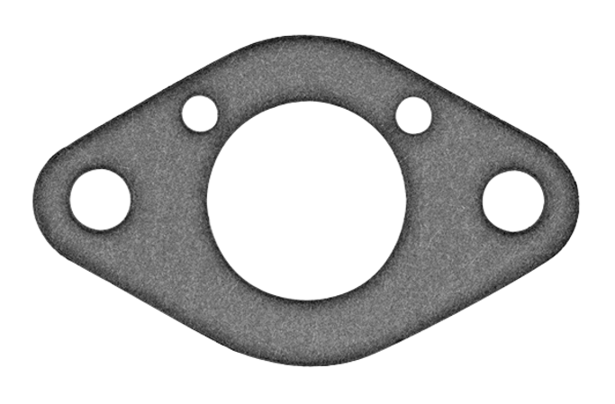 Gasket (63309)