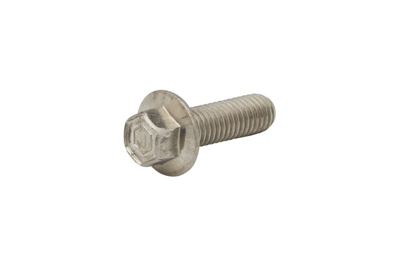 [10 40107 25] SCREW (4010725)