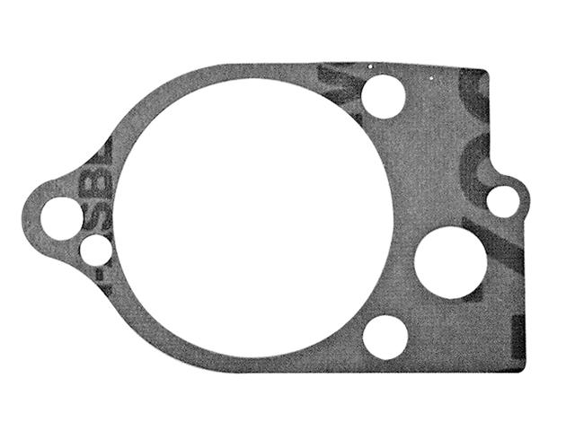 W/Pump Gasket (19551)