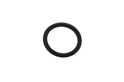 [25 805062] *O-Ring (805062)