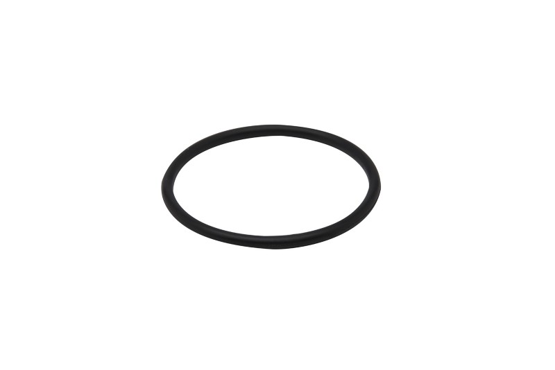 [25 11379] O Ring (11379)