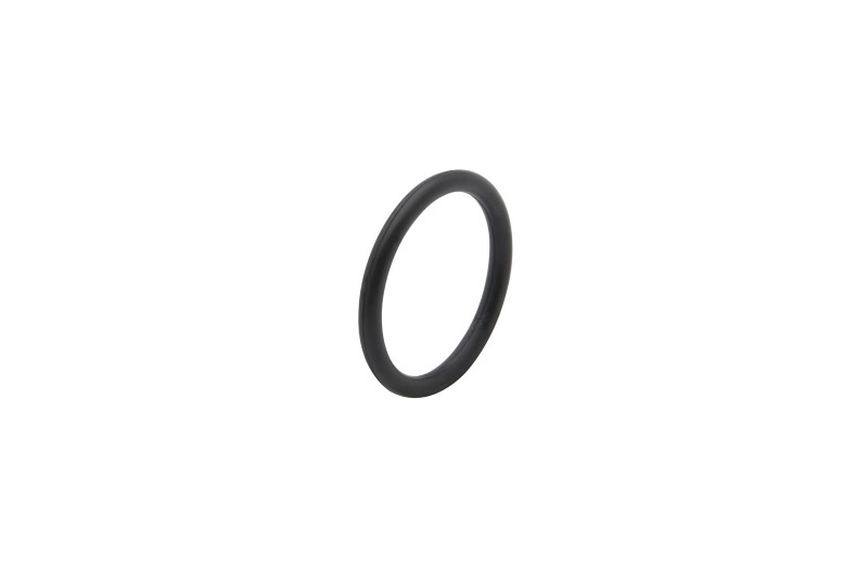 [25 85045] O Ring (85045)