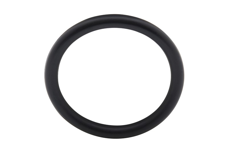 [25 F449278] O RING (F449278)