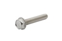 Screw (40011153)
