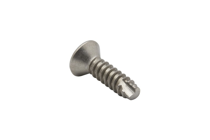 [10 13954] Screw (13954)