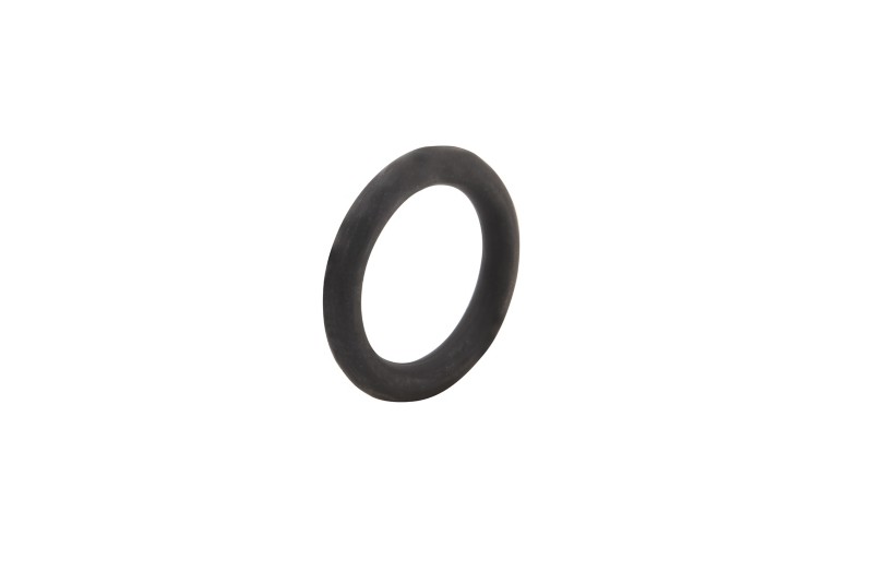 [25 896699] O Ring (896699)