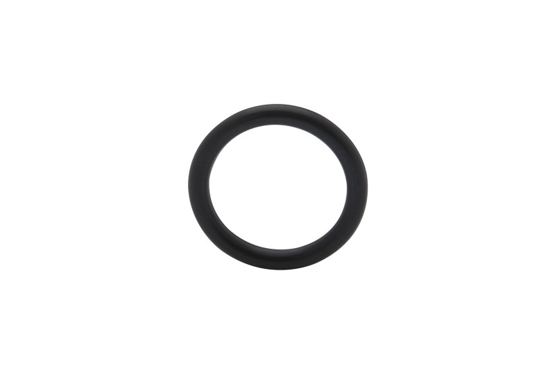 [25 805531] O Ring (805531)