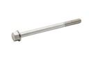 SCREW (824459110)