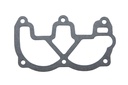 DNS Gasket (19207002)