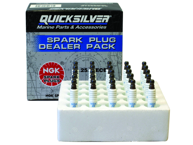 [33 59571B] NGK BR6FS @25 Spark Plug (59571B)