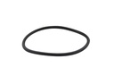 O-Ring (86391)