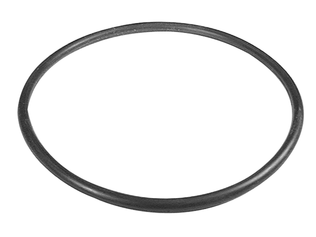 [25 20081] O-Ring (20081)