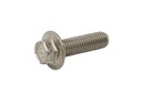 SCREW (4010835)