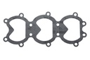 DNS Gasket (812869)